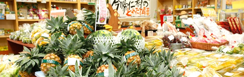 沖縄の大自然で育った食べ物